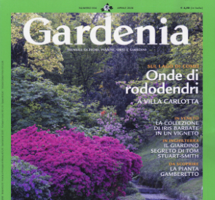 Gardenia